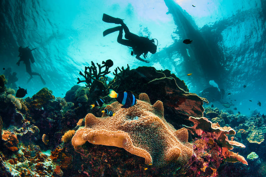 Top-8-scuba-diving-destinations-in-the-Caribbean